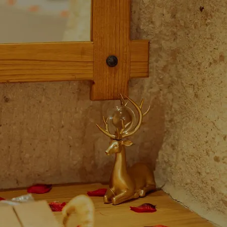 فندق مبيت وإفطار Gazel Cave House 3*